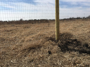 Wooden Posts and Wire Fencing