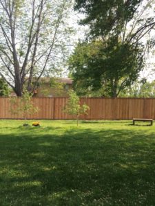 Midwest Fencing Contractor