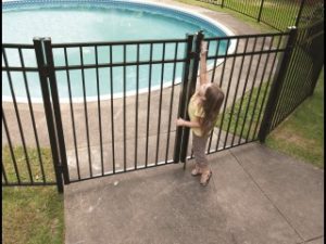 Ornamental Aluminum Gate