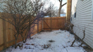 Wood Winter Fence Install