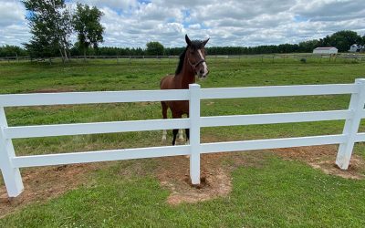 Ranch Fence Installation Company