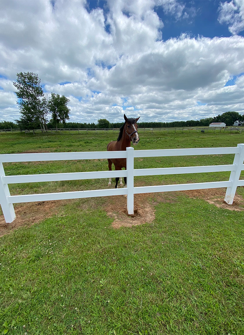 Split Rail Ranch or Farm Fencing System installed by Twin Cities Fence: Fence Contractor in MN