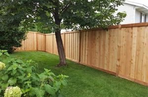 Placing A Fence On A Property Line In Minnesota 