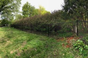 Minneapolis Black Chain Link Fence Contractor