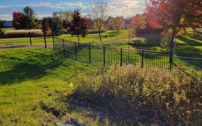 Affordable Fence Installation in Minnesota