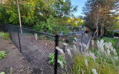 Chain Link Fence Installation Forest Lake MN