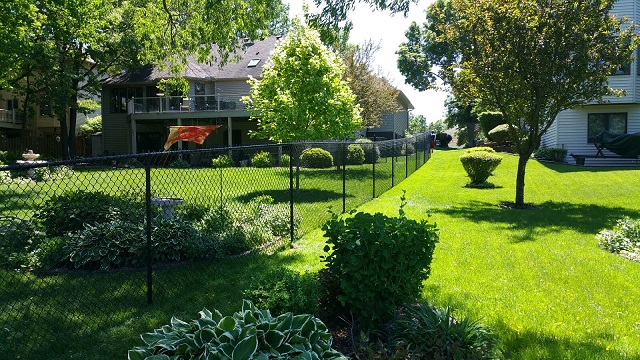 Chain-Link Fencing for Yards or Pets in the Twin Cities Metro