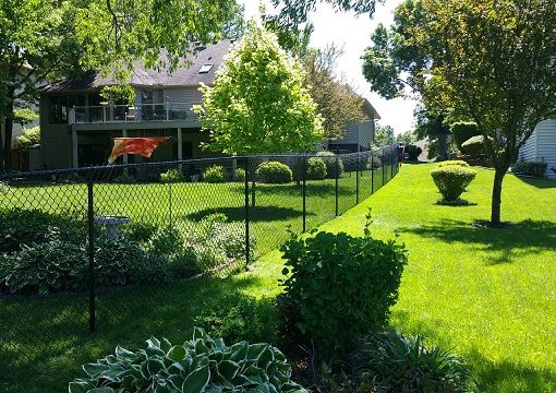 Dog Fence Installer Near Me
