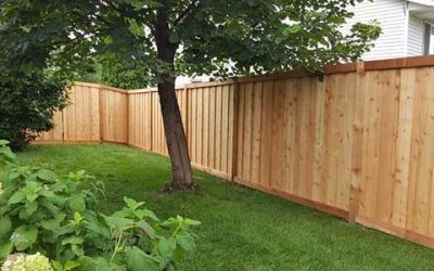No Dig Fence Installer in MN