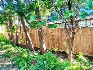 No Dig Fence Minneapolis MN