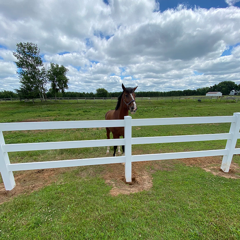 Twin Cities Farm Ranch Fence Installation